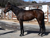 ����å��ǳ��������ɽ�����ޤ�