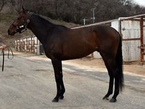 ����å��ǳ��������ɽ�����ޤ�