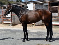 ����å��ǳ��������ɽ�����ޤ�