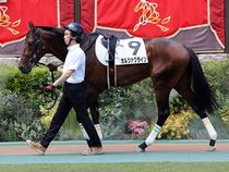 ����å��ǳ��������ɽ�����ޤ�