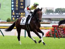 ����å��ǳ��������ɽ�����ޤ�