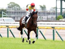 ����å��ǳ��������ɽ�����ޤ�