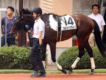 ����å��ǳ��������ɽ�����ޤ�