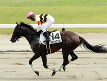 ����å��ǳ��������ɽ�����ޤ�