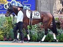 ����å��ǳ��������ɽ�����ޤ�