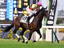 ����å��ǳ��������ɽ�����ޤ�