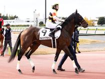 ����å��ǳ��������ɽ�����ޤ�