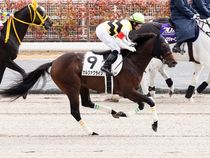 ����å��ǳ��������ɽ�����ޤ�