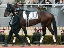 ����å��ǳ��������ɽ�����ޤ�