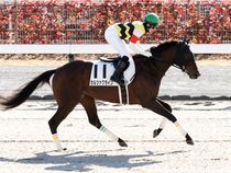 ����å��ǳ��������ɽ�����ޤ�