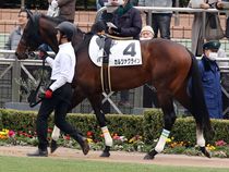 ����å��ǳ��������ɽ�����ޤ�