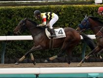 ����å��ǳ��������ɽ�����ޤ�