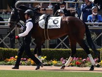 ����å��ǳ��������ɽ�����ޤ�