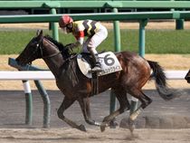 ����å��ǳ��������ɽ�����ޤ�