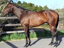 ����å��ǳ��������ɽ�����ޤ�