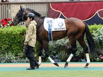 ����å��ǳ��������ɽ�����ޤ�