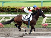 ����å��ǳ��������ɽ�����ޤ�