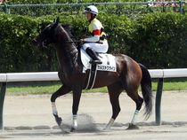 ����å��ǳ��������ɽ�����ޤ�