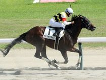 ����å��ǳ��������ɽ�����ޤ�