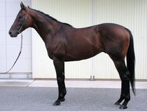 ����å��ǳ��������ɽ�����ޤ�