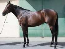 ����å��ǳ��������ɽ�����ޤ�