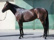 ����å��ǳ��������ɽ�����ޤ�