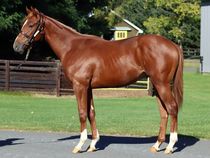 ����å��ǳ��������ɽ�����ޤ�