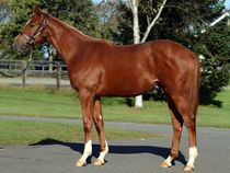 ����å��ǳ��������ɽ�����ޤ�