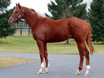 ����å��ǳ��������ɽ�����ޤ�