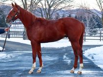 ����å��ǳ��������ɽ�����ޤ�