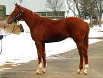 ����å��ǳ��������ɽ�����ޤ�