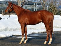 ����å��ǳ��������ɽ�����ޤ�