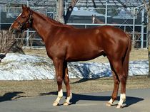 ����å��ǳ��������ɽ�����ޤ�