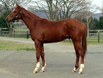 ����å��ǳ��������ɽ�����ޤ�