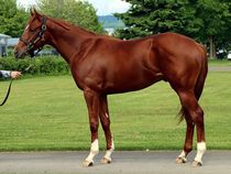 ����å��ǳ��������ɽ�����ޤ�