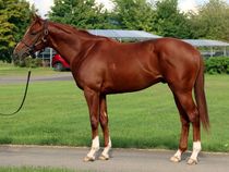 ����å��ǳ��������ɽ�����ޤ�