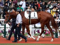 ����å��ǳ��������ɽ�����ޤ�