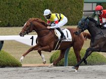 ����å��ǳ��������ɽ�����ޤ�