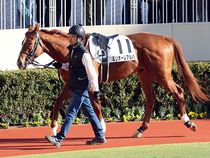 ����å��ǳ��������ɽ�����ޤ�