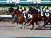 ����å��ǳ��������ɽ�����ޤ�