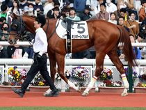 ����å��ǳ��������ɽ�����ޤ�