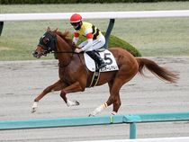 ����å��ǳ��������ɽ�����ޤ�