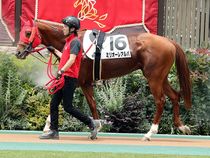 ����å��ǳ��������ɽ�����ޤ�