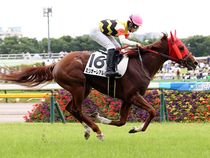 ����å��ǳ��������ɽ�����ޤ�