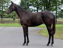 ����å��ǳ��������ɽ�����ޤ�