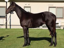 ����å��ǳ��������ɽ�����ޤ�