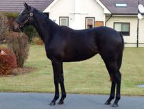 ����å��ǳ��������ɽ�����ޤ�