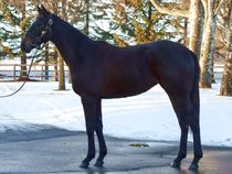 ����å��ǳ��������ɽ�����ޤ�