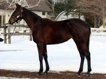 ����å��ǳ��������ɽ�����ޤ�