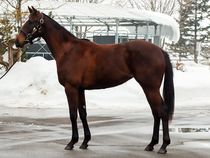 ����å��ǳ��������ɽ�����ޤ�